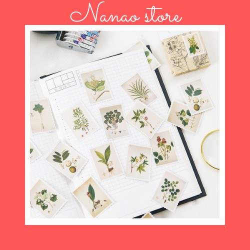 Hộp 45 sticker hình tem các loại cây cỏ thực vật phong cách vintage ...