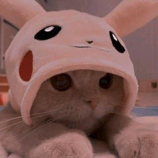 hong_nhungg76