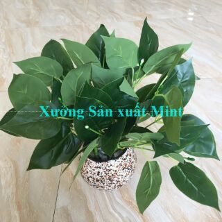 Combo sỉ 9 cây lá các loại - Cây giả