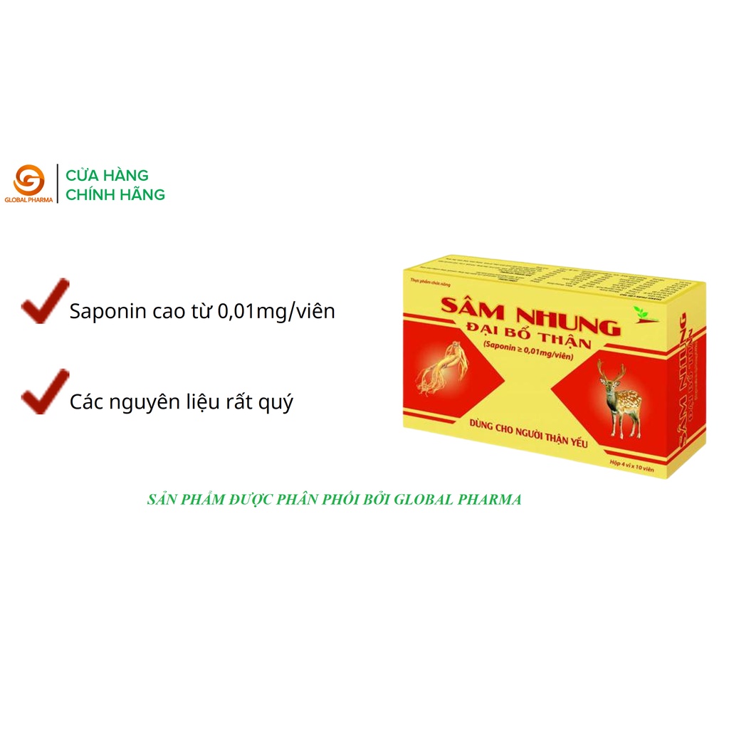 Ảnh Sâm nhung đại bổ thận AN CHÂU dùng cho người thân yếu hộp 4 vỉ 40 viên - Global Pharma 1