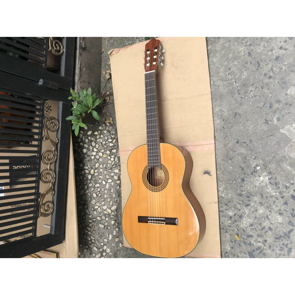 大手販売 ZEN-ON GUITAR ZG-250 - 楽器/器材