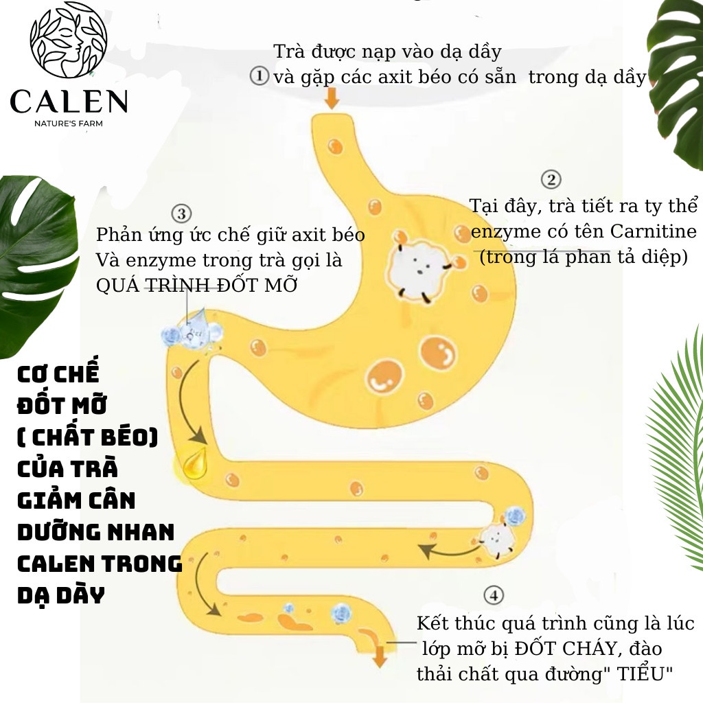 Trà giảm cân sau sinh Calen Nature Farm ích sữa, xổ mỡ, thải độc dưỡng da giúp săn chắc vòng eo