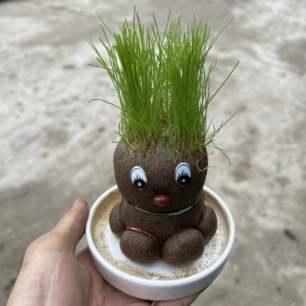 Búp bê rơm sáng tạo kiểu tóc, cây cảnh để bàn trang trí nội thất và bàn ...
