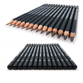 Set 14 Bút Chì 6h-12b Chuyên Nghiệp