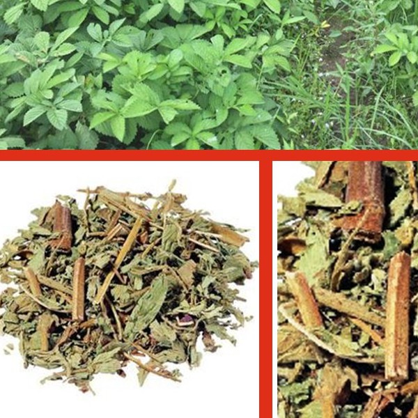 Long nha thảo khô thượng hạng JINDO 1kg