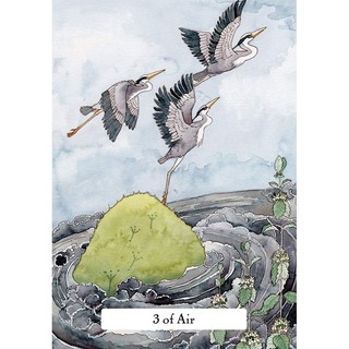 Bộ Bài Witches' Wisdom Tarot (Mystic House Tarot Shop) - Bài Gốc Authentic Chính Hãng 100%