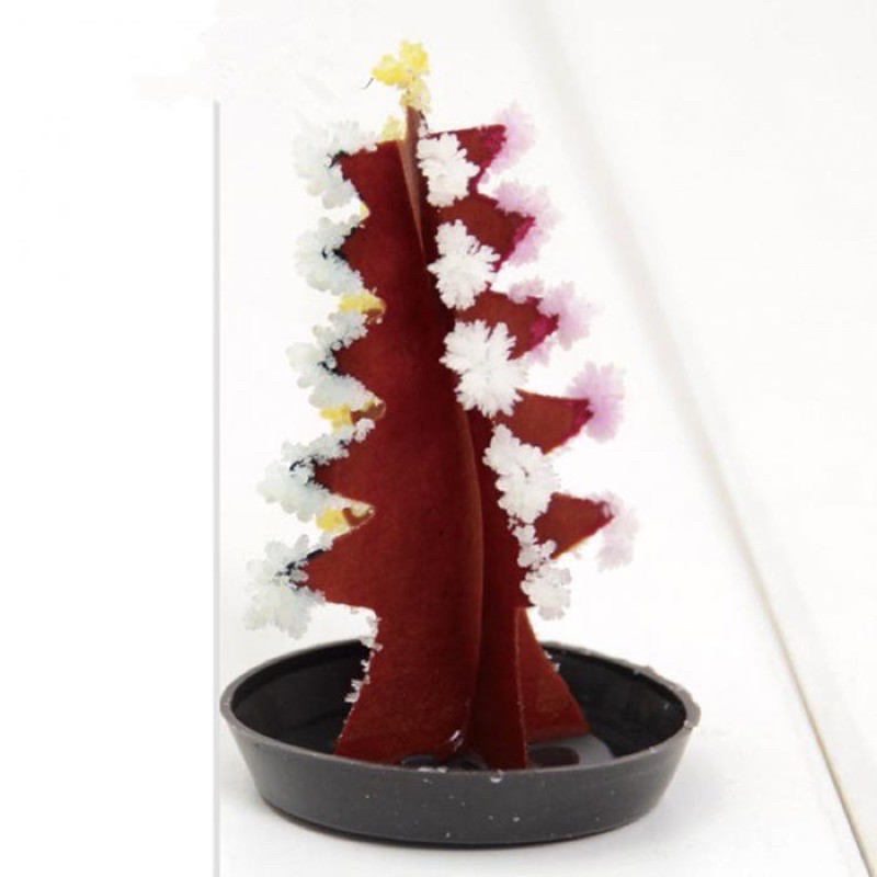 Cây thông Noel tự nở hoa thần kì-Xmas Tree