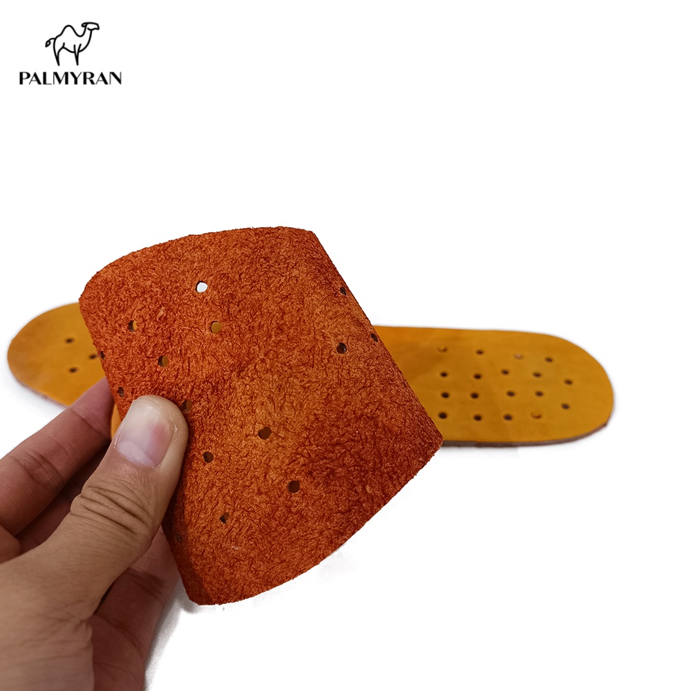 Lót Giày Da Thật Đục Lỗ Thoáng Khí Khử Mùi Cao Cấp Palmryan LD01