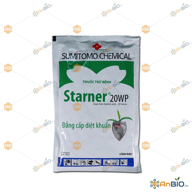 Starner - Giá Tốt, Miễn Phí Vận Chuyển, Đủ Loại | Shopee Việt Nam