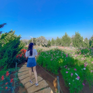 bich_hanh29
