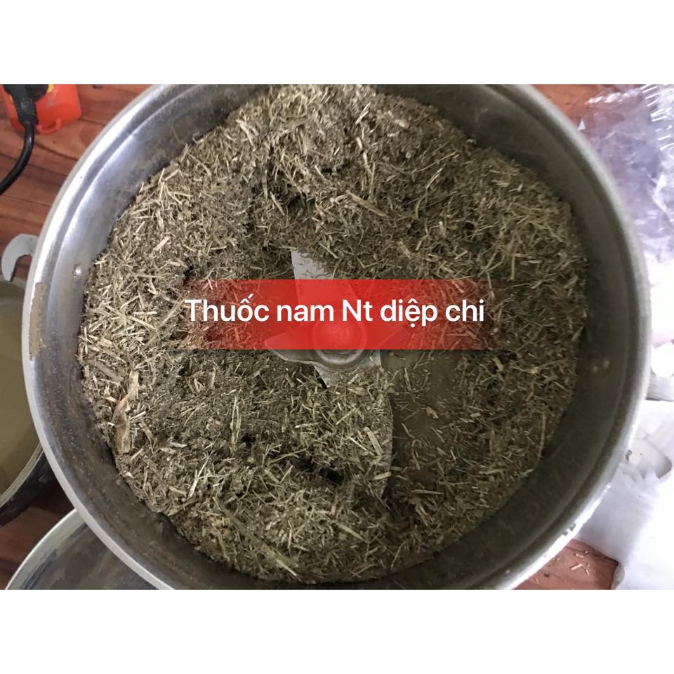 Trị sùi mào gà bằng thuốc nam - Nhà thuốc Diệp Chi