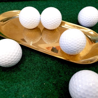 COMBO Thảm tập put nhựa, putting green nhựa + Gậy PUTT, tặng kèm 06 bóng tập chuyên dụng
