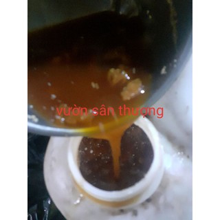 Chai 350ml Ge Thơm Ủ Bằng Rỉ Mật, Phân Bón Giúp Cây Trồng Ngừa Nấm B.ệnh Cho Lan, Mau Lành Vế.t B.ệnh