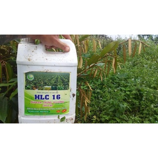 PHÂN BÓN HỮU CƠ CAO CẤP HLC 16 CAN 5L,PHÂN BÓN LÁ KÍCH MẦM, KÍCH CHỔI, DƯỠNG TRÁI