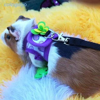 Bộ dây yếm dắt thú cưng đi dạo có thể điều chỉnh cho hamster chuột lang nhà chinchilla