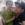 keobonggon05091994