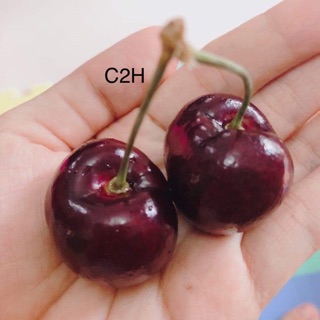 c2nguyenlenh