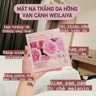 cicistore_thomnguyen