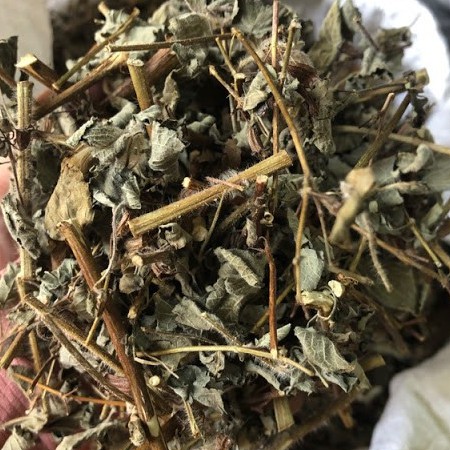 Cây hoắc hương khô thượng hạng JINDO 1kg tác dụng kiện tỳ vị, hỗ trợ khó tiêu, đầy hơi