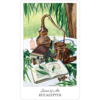 Bộ Bài Herbcrafter's Tarot (Mystic House Tarot Shop) - Bài Gốc Authentic Chính Hãng 100%