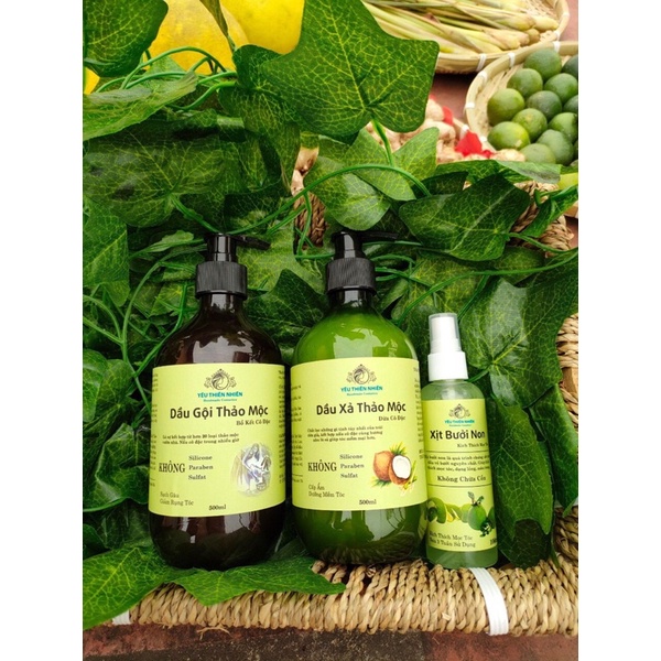 Dầu Gội Bồ Kết Thảo Dược Cô Đặc HandMade 500ML Giúp Sạch Gàu, Giảm Ngứa, Mọc Tóc Hiệu Quả 🔸 Anna Home