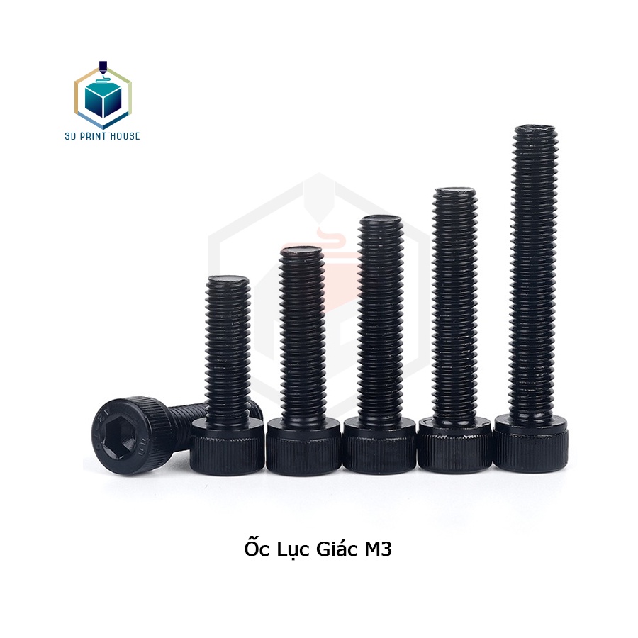 Ốc - Bulong Lục Giác M3 (3mm) - Dùng Lục Lăng 2.5 (10con) | Shopee Việt Nam