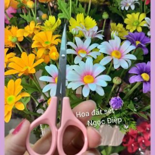 KÉO MŨI CONG ( DÀNH CẮT TỈA CÁC NHỤY HOA )