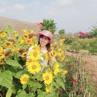 anngocduongnguyen