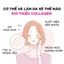 Viên Uống Collagen DHC Nhật Bản Làm Đẹp Da Sáng Da Căng Mịn Chống Lão Hóa 30 Ngày