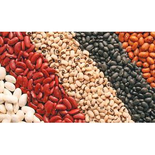 Bánh Xốp Dinh Dưỡng 16 Loại Đậu Đài Loan 190g