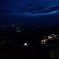 lemonga_