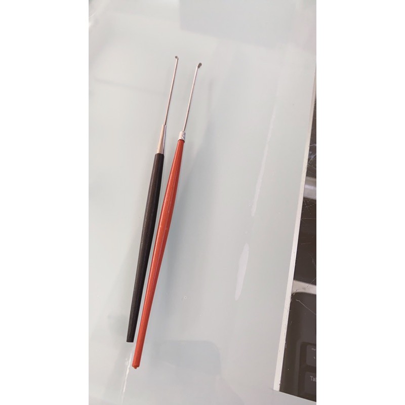 Cây ráy tai sắt | Shopee Việt Nam