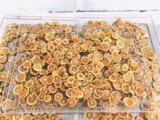 [Giá tôt] Cam Sấy Khô Thiện Phát (Cam Thái Lát Sấy Khô) 100g