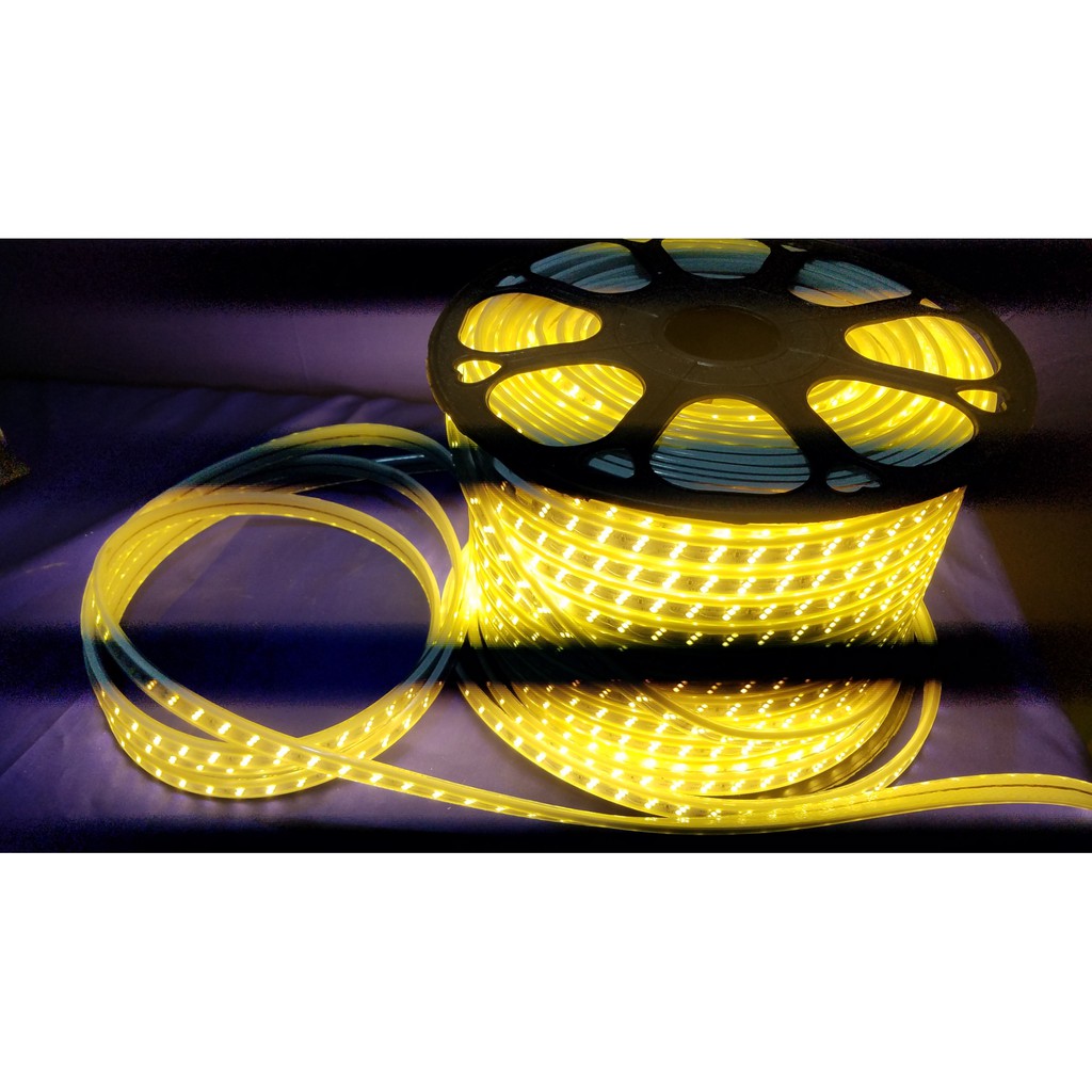 Dây Led Hắt Trang Trí 2 Mắt ( đơn giá /m) | Shopee Việt Nam