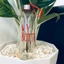 Bình Thủy Tinh Vacofarm 500ml Dây Xách In Chữ Trong