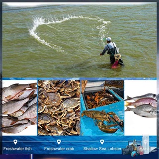 Lưới Đánh Bắt Cá Một Sợi Dạng Bẫy Cá Ngoài Trời