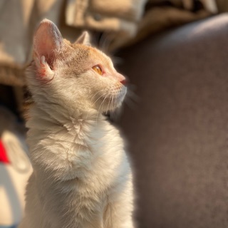 lethitrinh0111