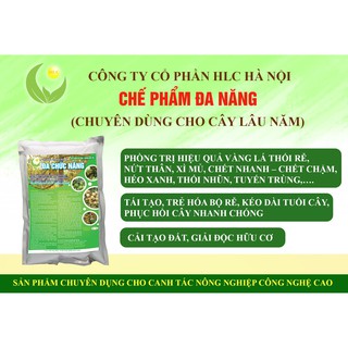 CHẾ PHẨM ĐA CHỨC NĂNG (CHUYÊN CÂY LÂU NĂM): DƯỠNG CÂY, PHÒNG NGỪA VÀNG LÁ THỐI RỄ, CẢI TẠO ĐẤT,...
