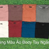 Áo thun tay ngắn babytee, áo thun body dáng chuẩn -LYLYNA A07