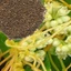 Thỏ ty tử khô thượng hạng JINDO 1kg