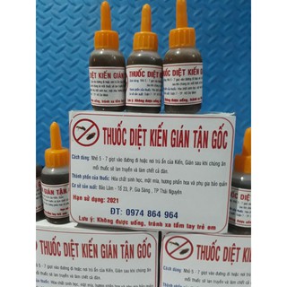 Thuốc diệt kiến gián tận gốc chế phẩm diệt kiến sinh học bằng mồi nhử hiệu quả sau 24 giờ