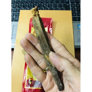 [Giá Dùng Thử] Sâm Cao Ly HQ Sấy Khô Túi 1 Củ