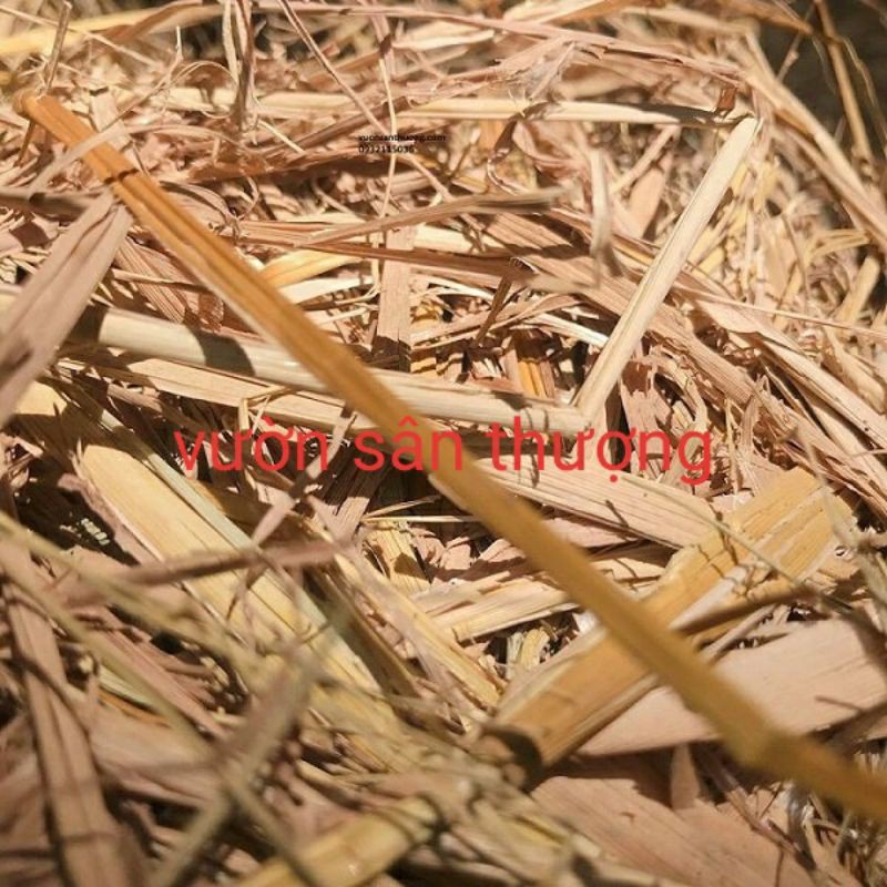 Rơm Khô (20dm3) Che Phủ Đất, Trang Trí, Vật Liệu Hữu Cơ