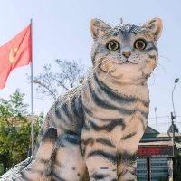 khanhhangbh