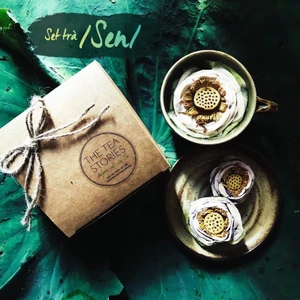 Hoa sen tươi hút chân không, hoa to, nguyên màu tuyệt đẹp - The Tea Stories