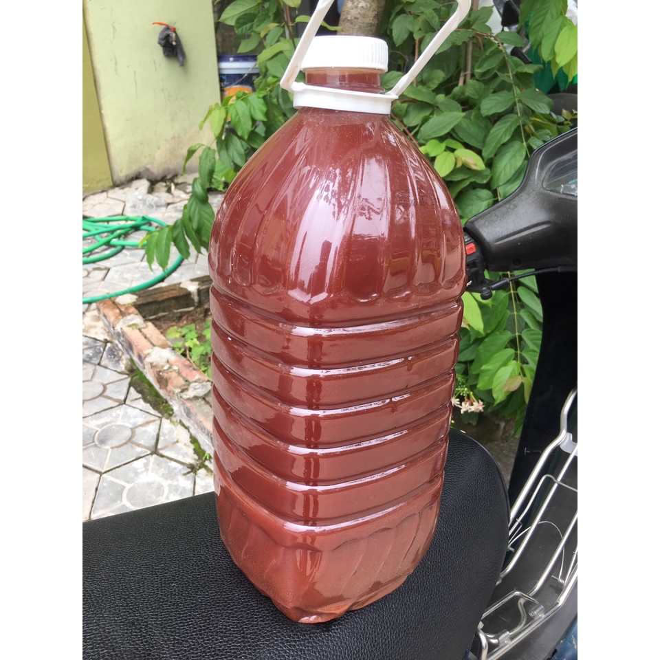 5 lít Men vi sinh PSB+làm trong nước bể cá cảnh,hồ cá KOI.