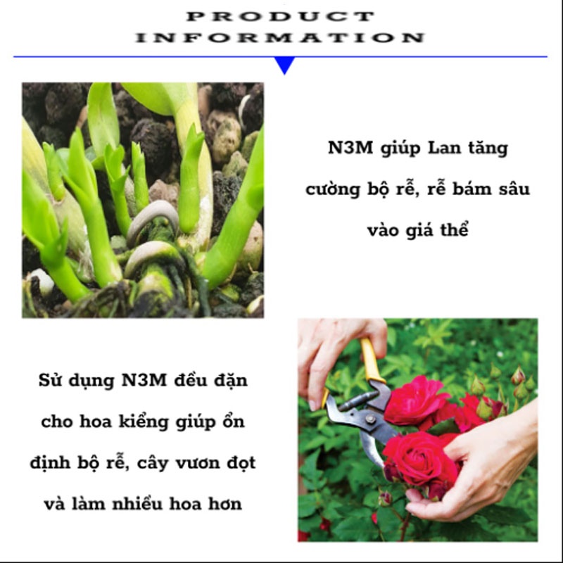 Phân bón Ra rễ cực mạnh N3M (hộp 100g)