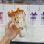 Ly nhựa 2 lớp Animal LocknLock Double Wall Cold Cup 520ml HAP511 - HAP512