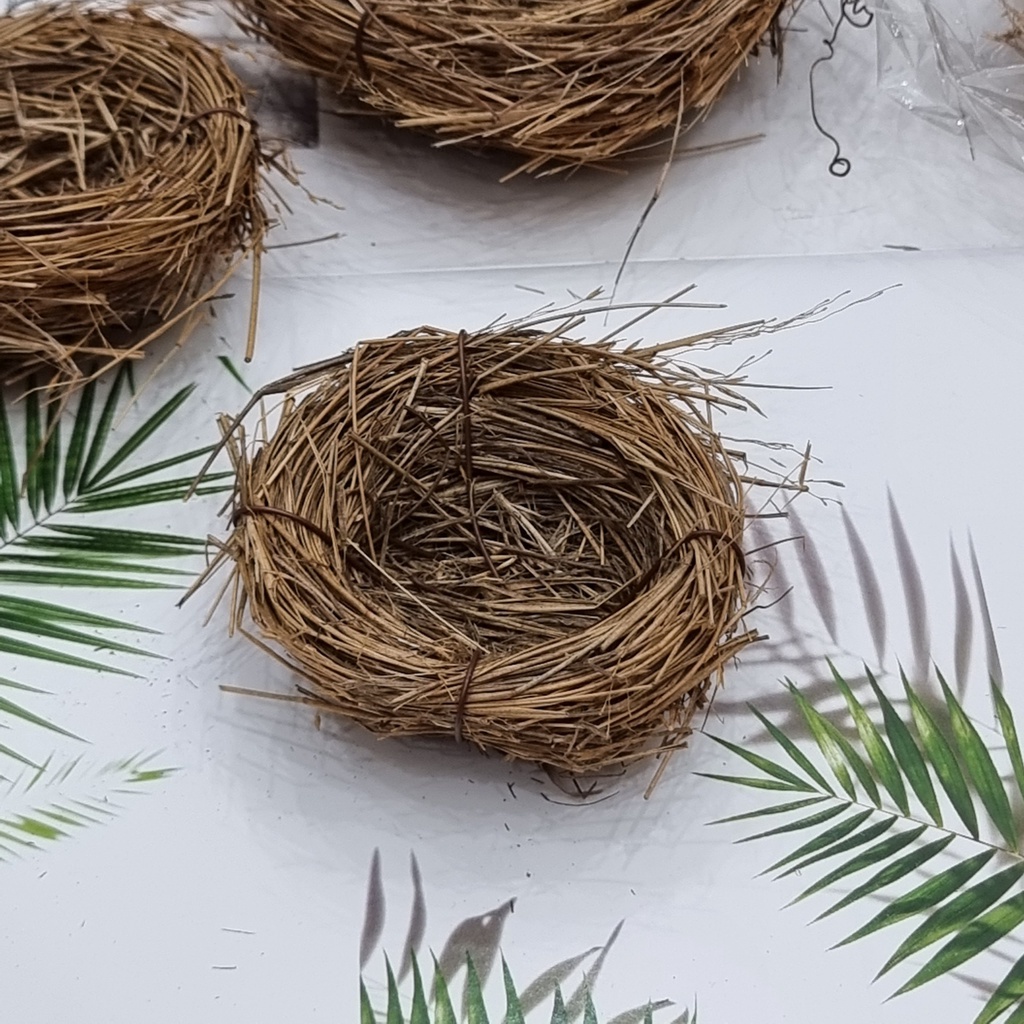 Tổ rơm/ Chim / Trứng mô phỏng chụp ảnh | Shopee Việt Nam