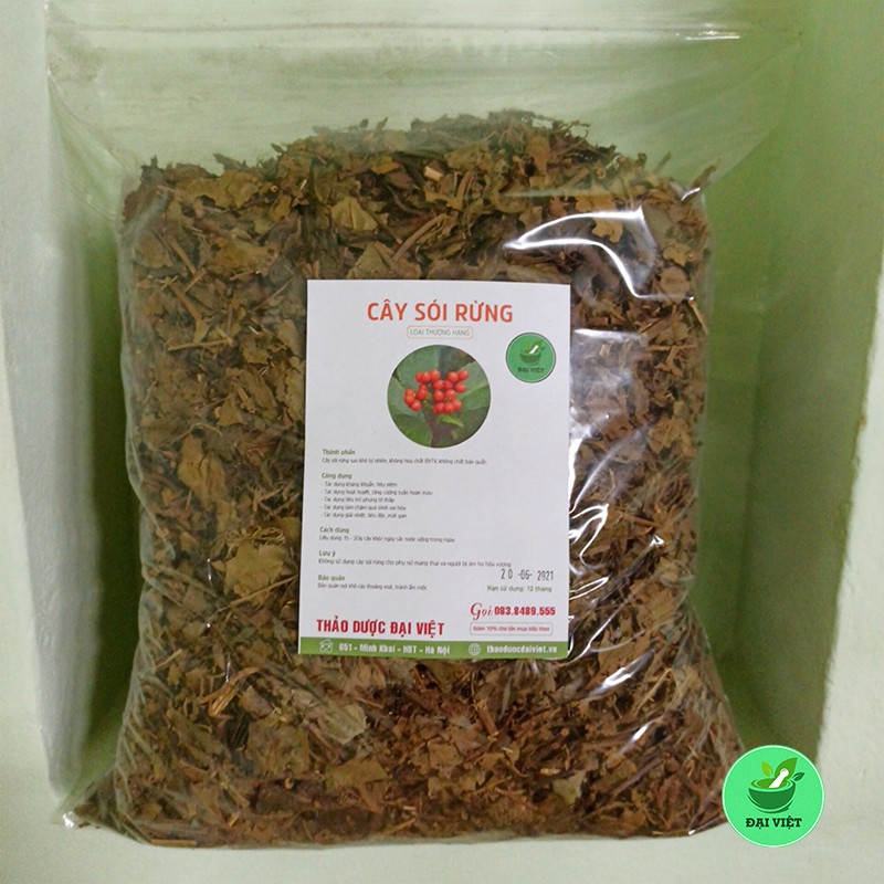 Cây sói rừng - Giá Tốt, Miễn Phí Vận Chuyển, Đủ Loại | Shopee Việt Nam